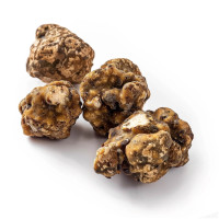 Hollandia Magic Truffles | Azarius