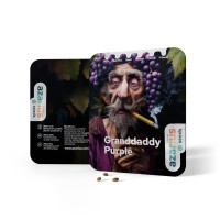 Granddaddy Purple | Cannabis Seeds by Azarius