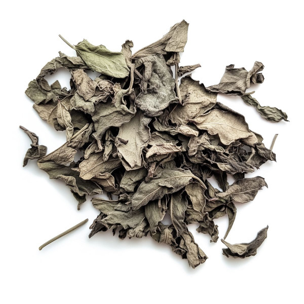 Salvia Divinorum Leaves