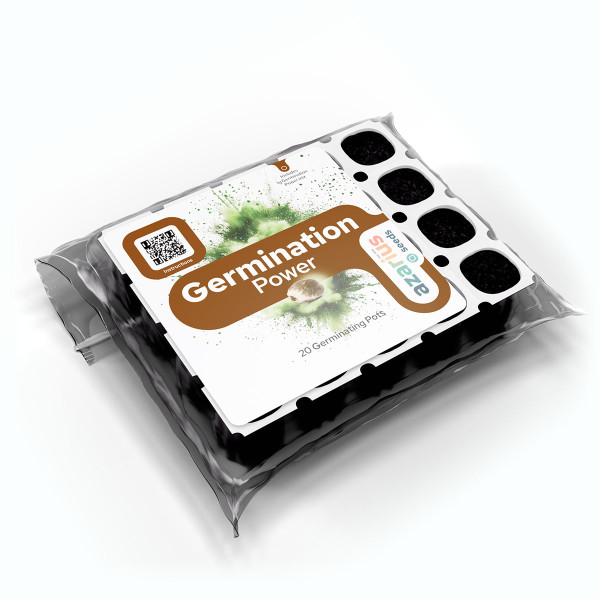 Cannabis Germination Power Kit – Boost Seed Success Rate